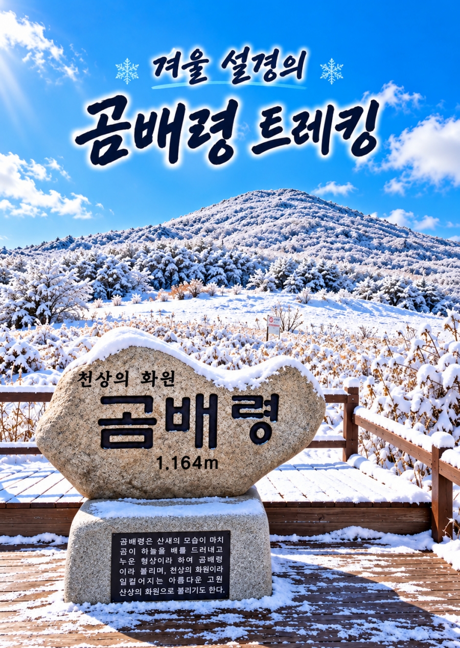 40303600_1793000322.png