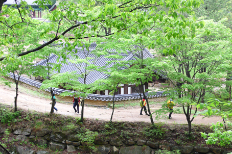 [경북] 리무진버스 - 부처님 오신날 1년에 단 한번 개방하는 사찰 문경 봉암사 당일