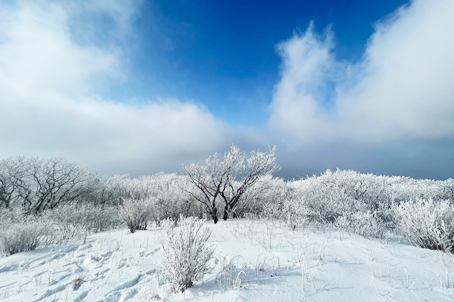 [강원] 설경의 대명사- 계방산 눈꽃 트래킹 당일