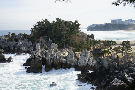 [강원] 6기-해파랑길 36코스 트래킹 당일