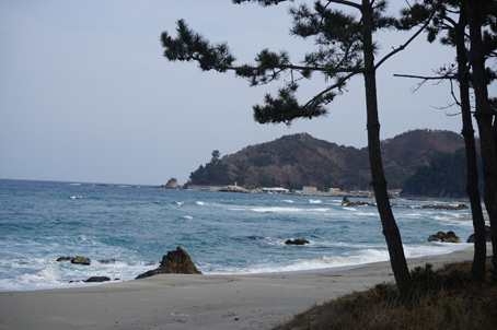 [강원] 6기-해파랑길 32코스 트래킹 당일