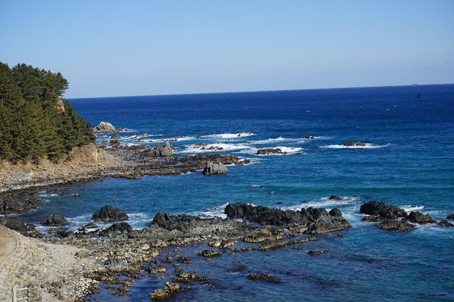 [강원] 6기-해파랑길 29코스 트래킹 당일