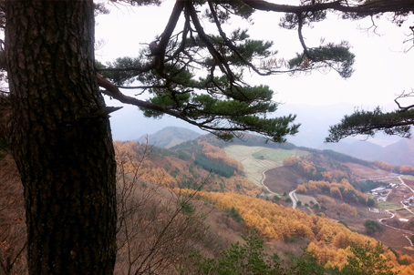 [강원] 리무진버스 - 영월 산꼬라데이길 힐링 트래킹 당일