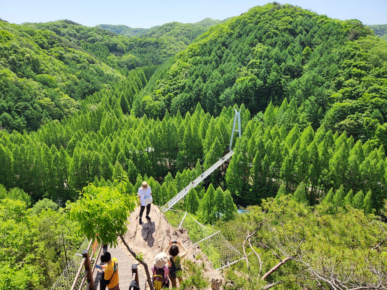 [대전] 장태산 자연휴양림과 계족산 황톳길 여행 당일