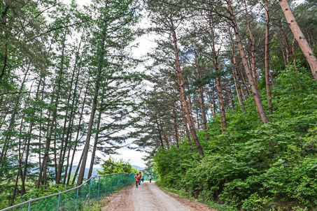 [경북] 리무진버스 - 이동기와 함께하는 한국판 산티아고 동서 트레일 47코스 당일
