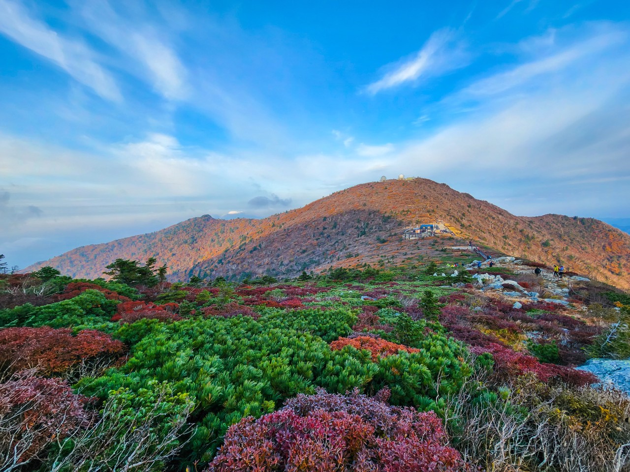 2024년 가을 단풍 산행 [1] 리무진버스-설악산 대청봉(오색-대청-설악동) 무박