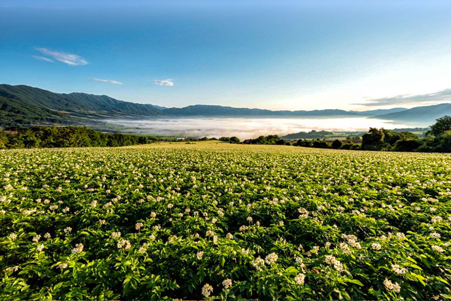 [강원] 양구 국가숲길 1호 지정 1코스 (DMZ 평화의 숲길) 트래킹 (숲밥제공) 박수근미술관  당일