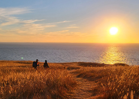 [인천 주중]  자연 그대로의 섬!  굴업도 1박2일