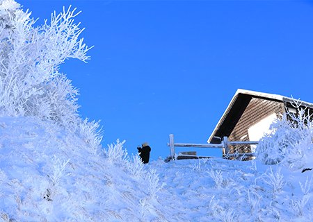 [전북] 리무진버스 - 겨울왕국 무주 덕유산 눈꽃여행(곤도라왕복) 당일