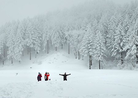 [강원] 친구하나 그대 이름은 바람이란다 선자령 눈꽃 트래킹 당일