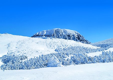 [제주] [해바라기 안내]  한라산 어리목-영실 눈꽃 트래킹 1박2일