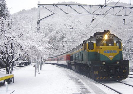 [경북] 리무진버스 - 환상 눈꽃 기차여행 봉화 세평하늘길(양원역-승부역) 오지 트래킹 당일