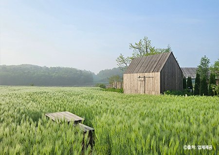[충남] 소쿠리밥상과 예산여행(추사고택, 의좋은 형제마을, 예당호 느린호수길)/백설농부 정원카페 당일