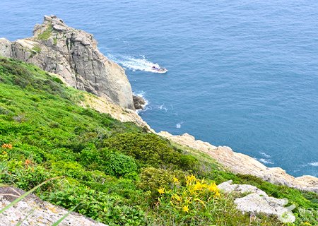 [전남] 리무진버스 - (삼일절 연휴) 동백꽃이 기다리는  여수 거문도,백도 트래킹 1박2일