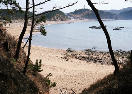 [충남] 리무진버스 - 이동기와 함께하는 한국판 산티아고 동서 트레일 3코스 당일
