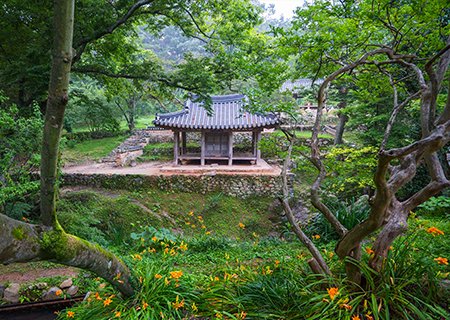 [전남] 리무진버스 - (편안하고 잘먹는 고품격 골드여행 )  담양 대나무숲/메타세쿼이어길/소쇄원 (대통밥) 당일