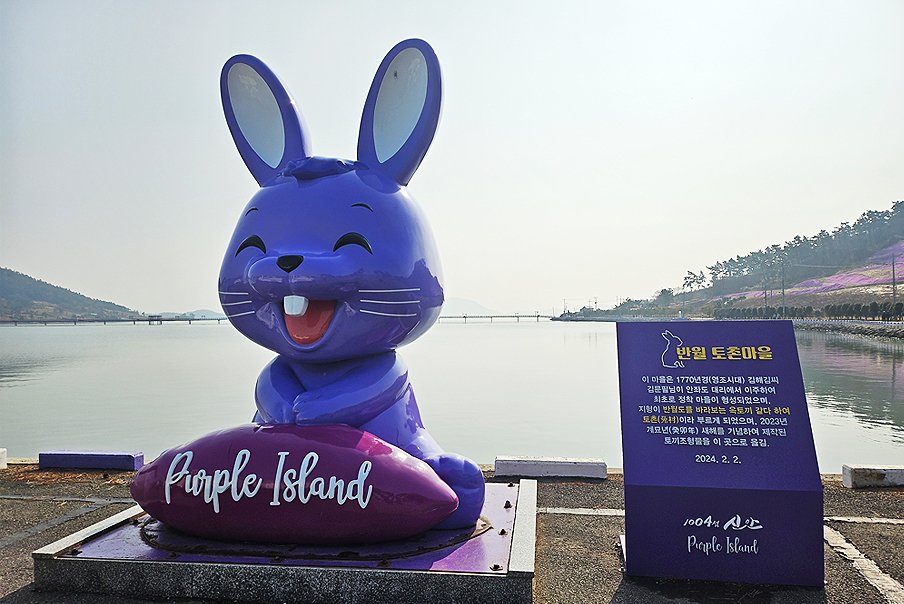 [출발확정] 리무진버스 - 신안 붉은 애기동백 가득한 신안 1004섬분재정원 겨울꽃축제와 퍼플섬여행(떡갈비정식) 당일