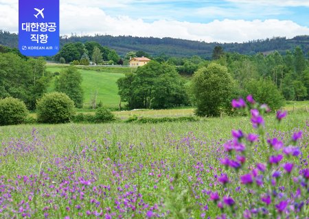 [스페인-김은정과 함께하는] 나의 삶을 보상받는 산티아고 순례길 트래킹(대한항공) 9박11일
