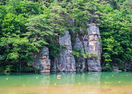 [30주년 사은행사] 아홉번을 굽이치는 아름다운 계곡길 괴산 화양구곡과 문광저수지 은행나무길 산책 (중식제공) (당일)