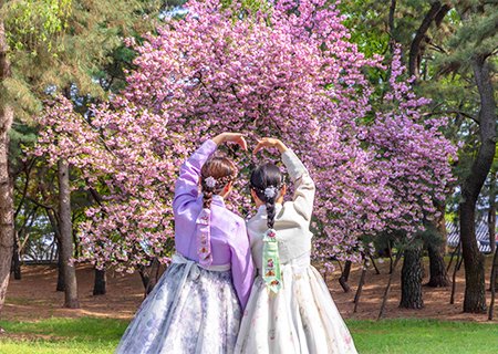 [경주] 리무진버스 - (편안하고 잘먹는 고품격 골드여행) 천년 고도 추억의 경주여행/대릉원/분황사/동궁/불국사(중식 1인 29,000원 제공) 당일