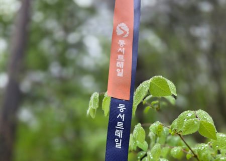 [경북] 리무진버스 - 이동기와 함께하는 한국판 산티아고 동서 트레일 50코스 당일