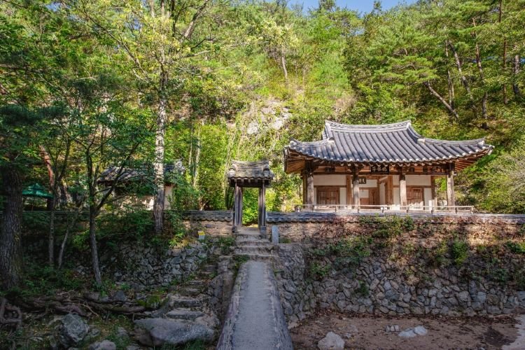 [경북] 한국의 지베르니 안동 여행-만휴정, 월영교 낙강물길공원, 봉정사(간고등어정식) 당일