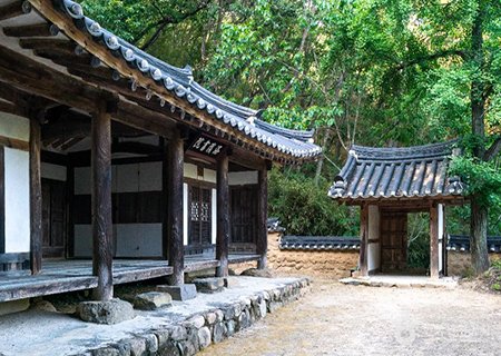 [경북] 대구 여름꽃 구경 배롱꽃 천국 -  하목정/삼기헌/대구 수목원 (당일)