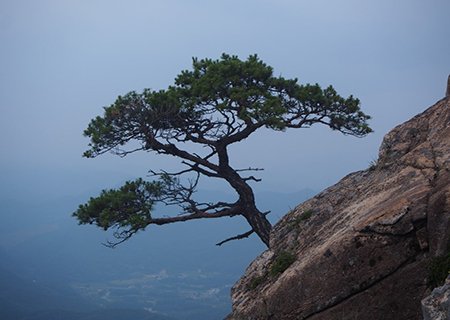 [경북] 한국의 마테호른 문경 천주산/김룡사 둘레길산책(중식제공) (당일)