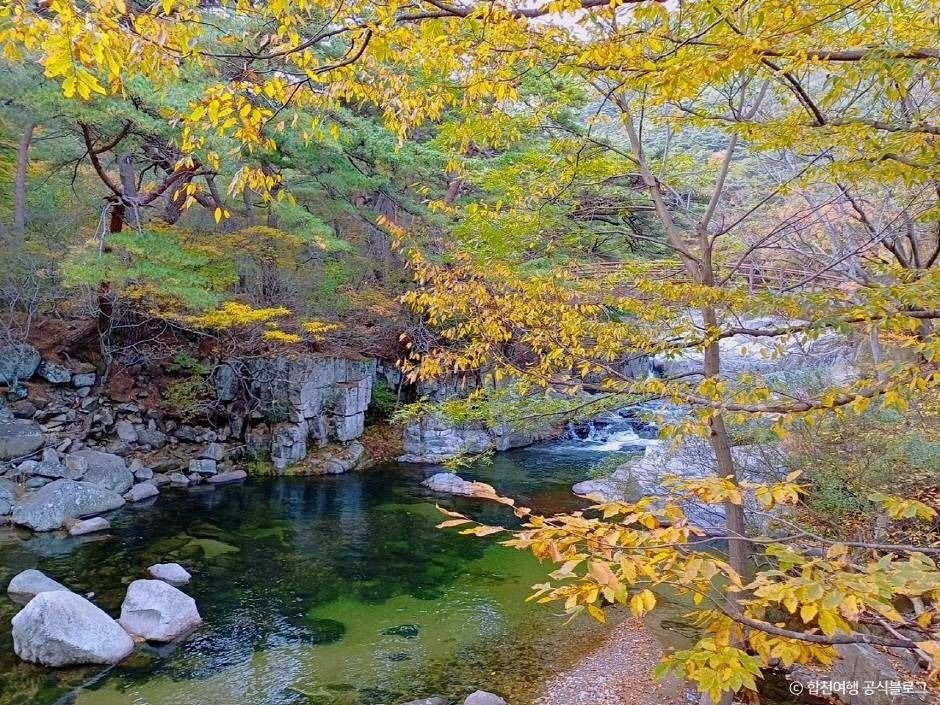[경남] 리무진버스 - 소리길에서 소리듣고 깨닫는 합천 가야산(해인사) 트래킹 당일