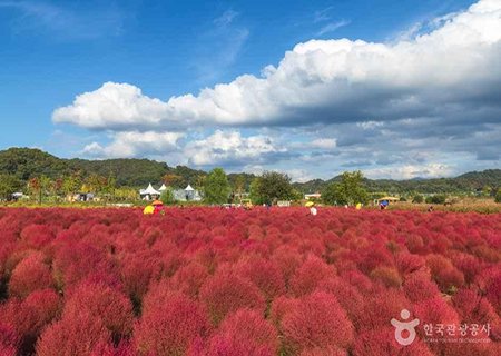 [경기] 연천 임진강 댑싸리 공원/재인폭포/호로고루성/경순왕릉 당일