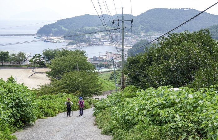 [경남] 리무진버스. 엄마의길 263Km-남해바래길 8코스(섬노래길)트래킹  당일