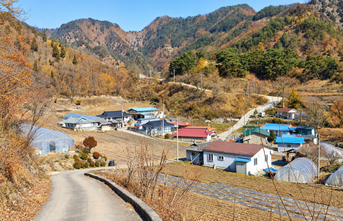 [충북]  리무진버스-소백산자락길 5자락길 (중식제공) 당일