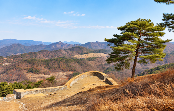 [충북] 리무진버스 - 소백산 자락길 6자락길 (온달평강로맨스길 ) (중식제공) 당일